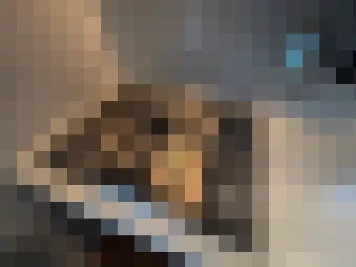 Korhoen 21 Sibculo thumbnail 12