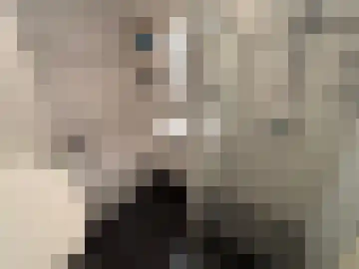 Korhoen 21 Sibculo thumbnail 15