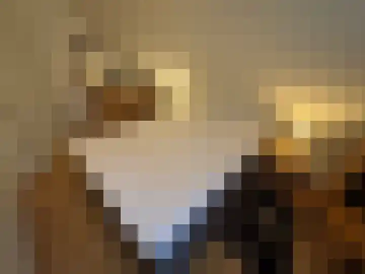Korhoen 21 Sibculo thumbnail 21