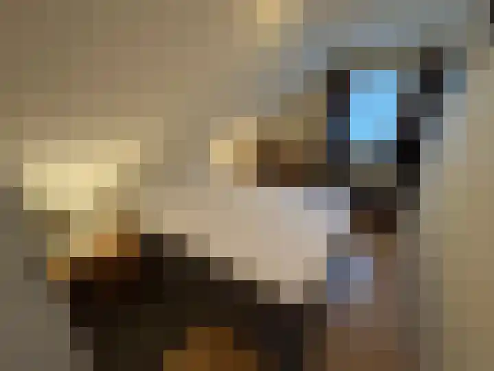 Korhoen 21 Sibculo thumbnail 22