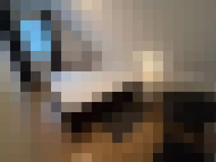Korhoen 21 Sibculo thumbnail 23