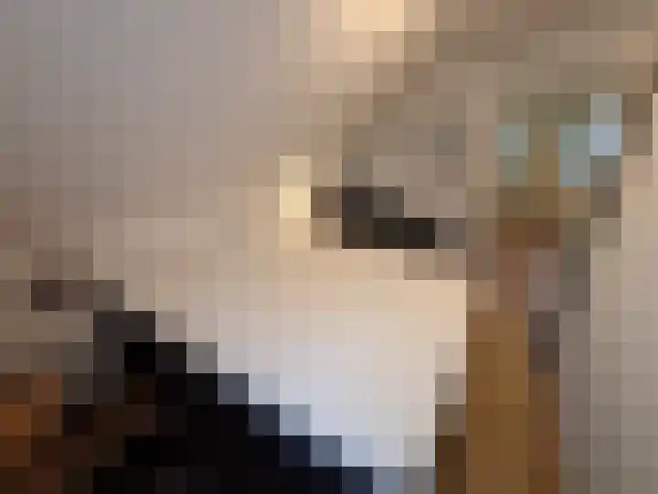 Korhoen 21 Sibculo thumbnail 24