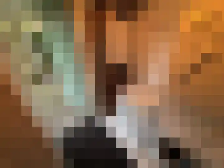 Korhoen 21 Sibculo thumbnail 26