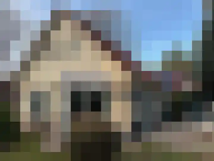 Korhoen 21 Sibculo thumbnail 33