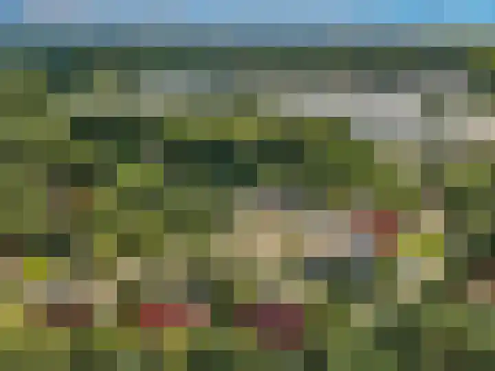 Korhoen 21 Sibculo thumbnail 36