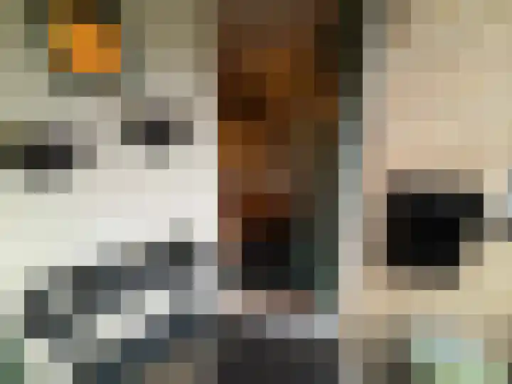 Korhoen 21 Sibculo thumbnail 6