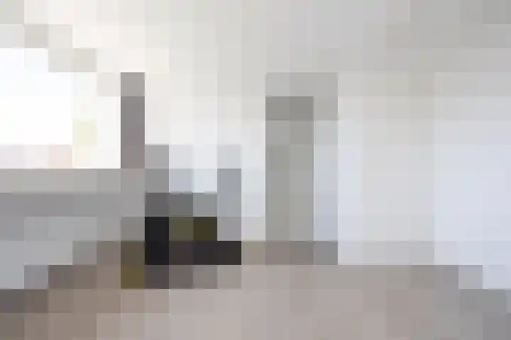 Korhoen 22 Berkel en Rodenrijs thumbnail 32