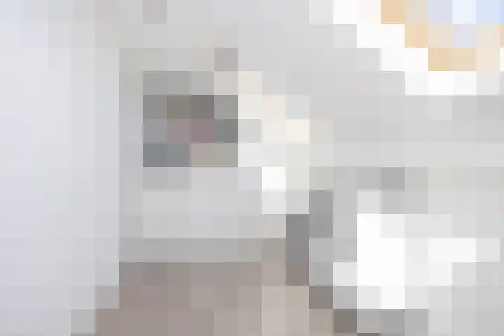 Korhoen 22 Berkel en Rodenrijs thumbnail 33