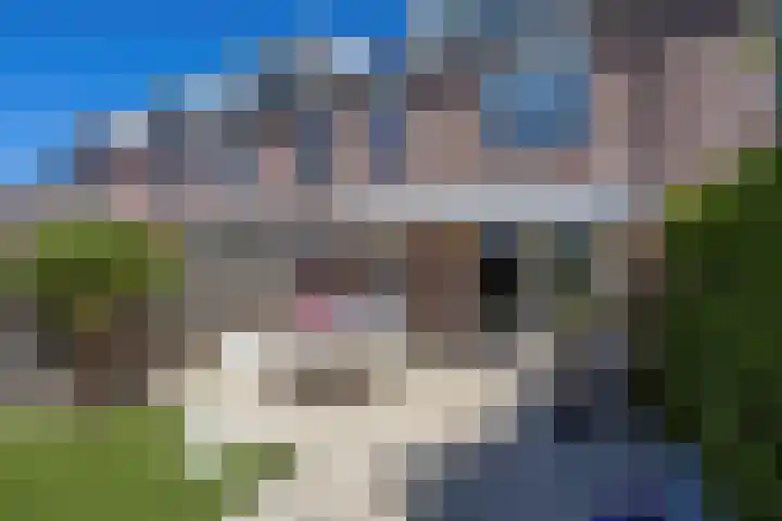 Korhoen 22 Berkel en Rodenrijs thumbnail 35