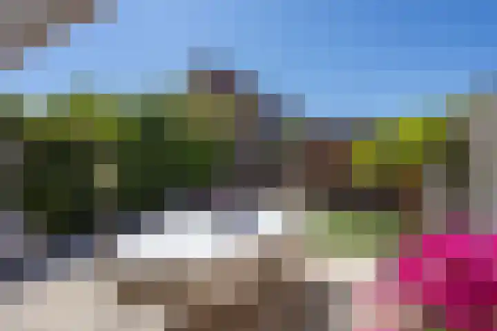 Korhoen 22 Berkel en Rodenrijs thumbnail 39