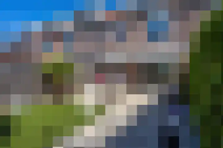 Korhoen 22 Berkel en Rodenrijs thumbnail 40