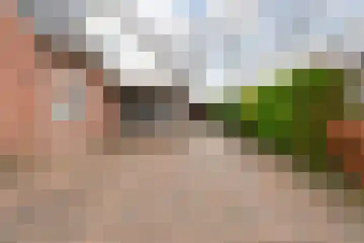 Korhoen 25 Raalte thumbnail 11