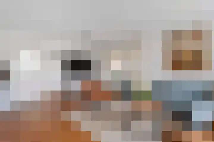 Korhoen 25 Raalte thumbnail 17