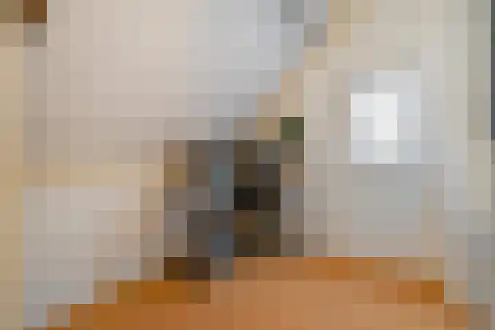 Korhoen 25 Raalte thumbnail 38