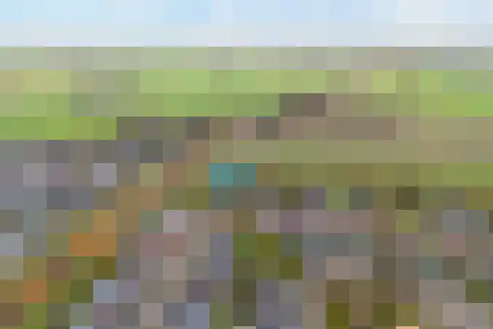 Korhoen 25 Raalte thumbnail 4