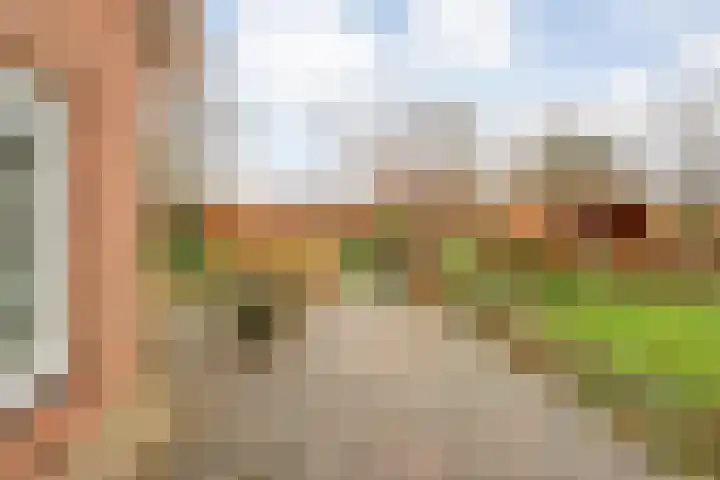 Korhoen 25 Raalte thumbnail 50