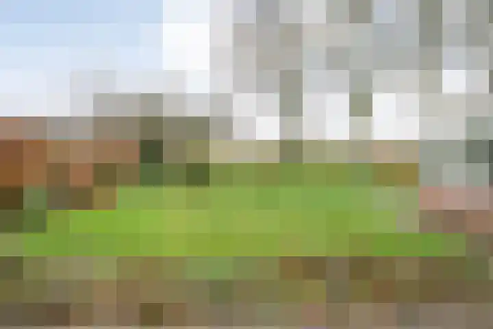 Korhoen 25 Raalte thumbnail 51