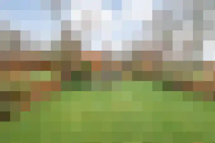 Korhoen 25 Raalte thumbnail 53