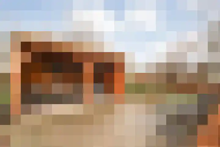 Korhoen 25 Raalte thumbnail 55