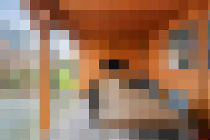 Korhoen 25 Raalte thumbnail 57