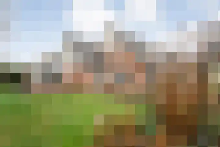 Korhoen 25 Raalte thumbnail 59