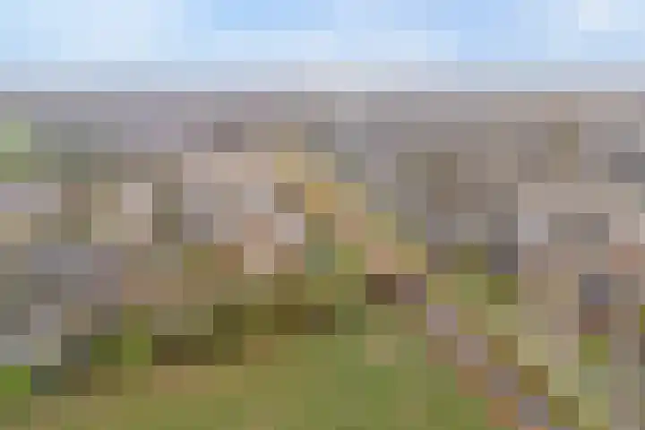 Korhoen 25 Raalte thumbnail 6