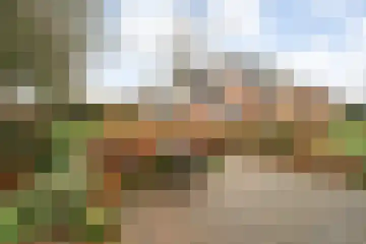 Korhoen 25 Raalte thumbnail 60
