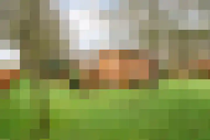 Korhoen 25 Raalte thumbnail 61