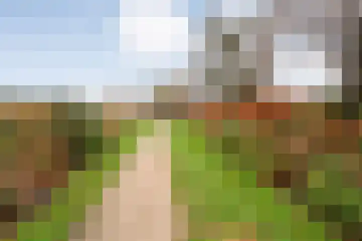Korhoen 25 Raalte thumbnail 63