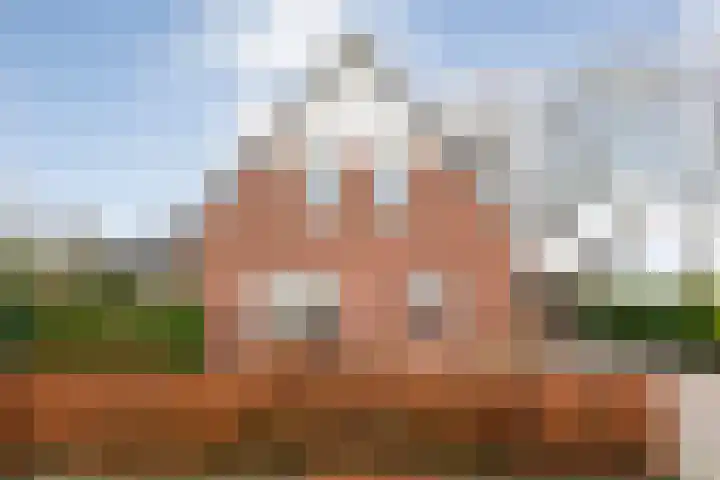 Korhoen 25 Raalte thumbnail 7