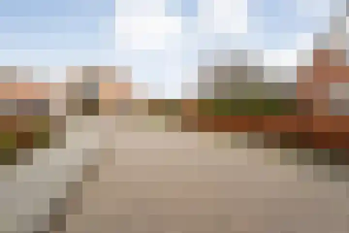 Korhoen 25 Raalte thumbnail 8