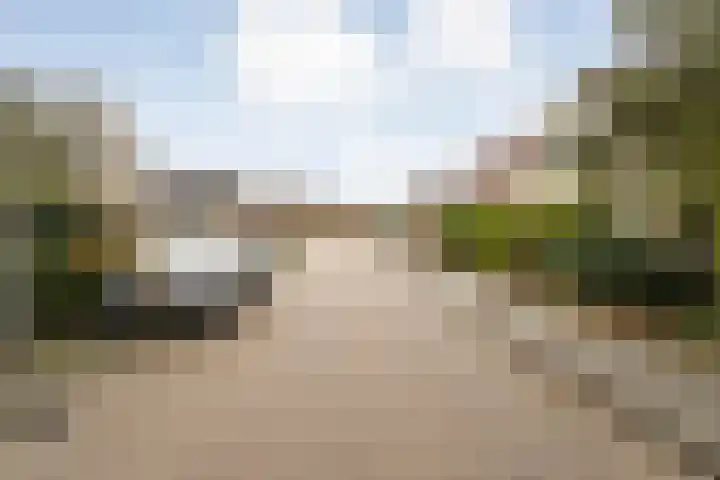 Korhoen 25 Raalte thumbnail 9