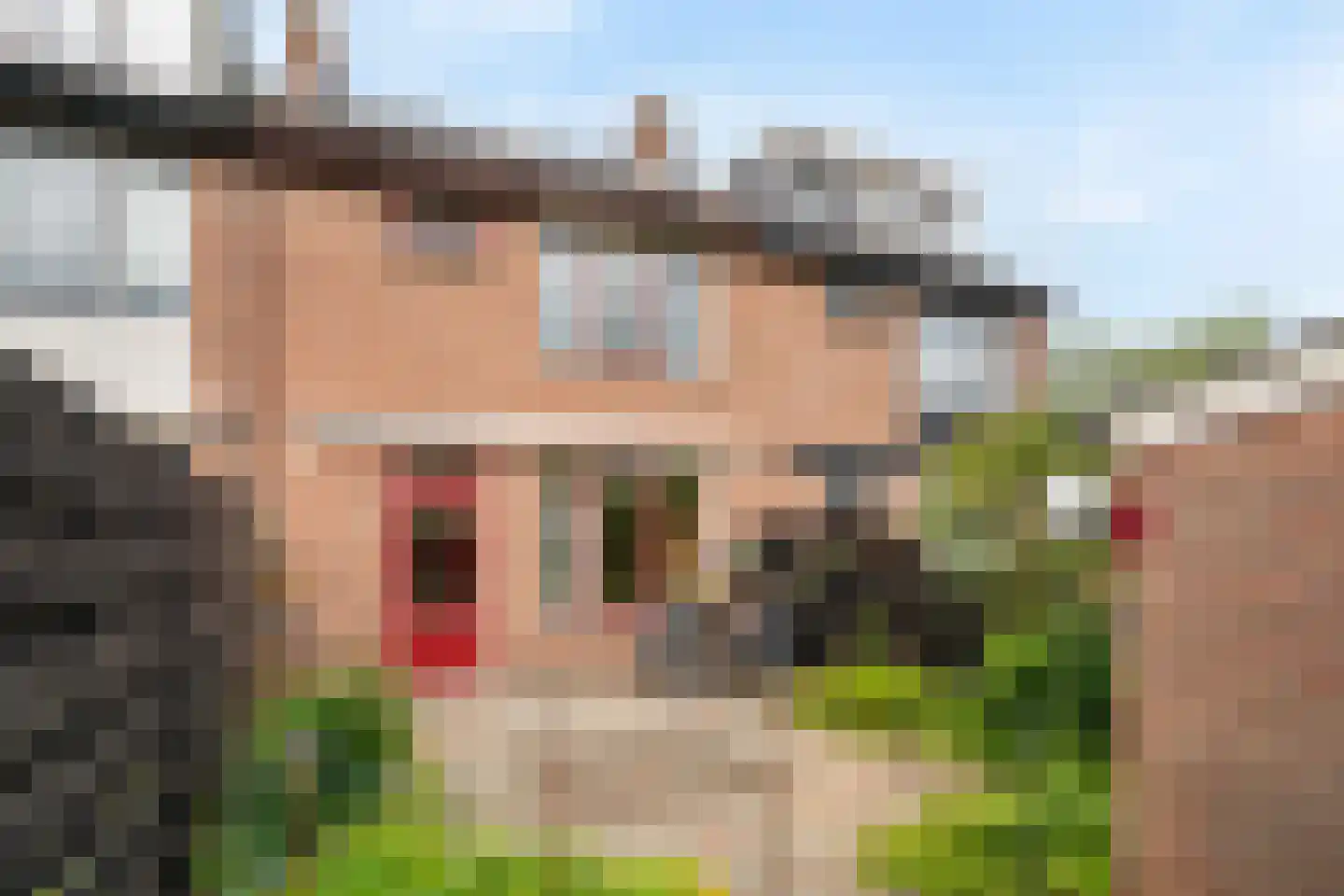 Korhoen 26 Ridderkerk thumbnail 10