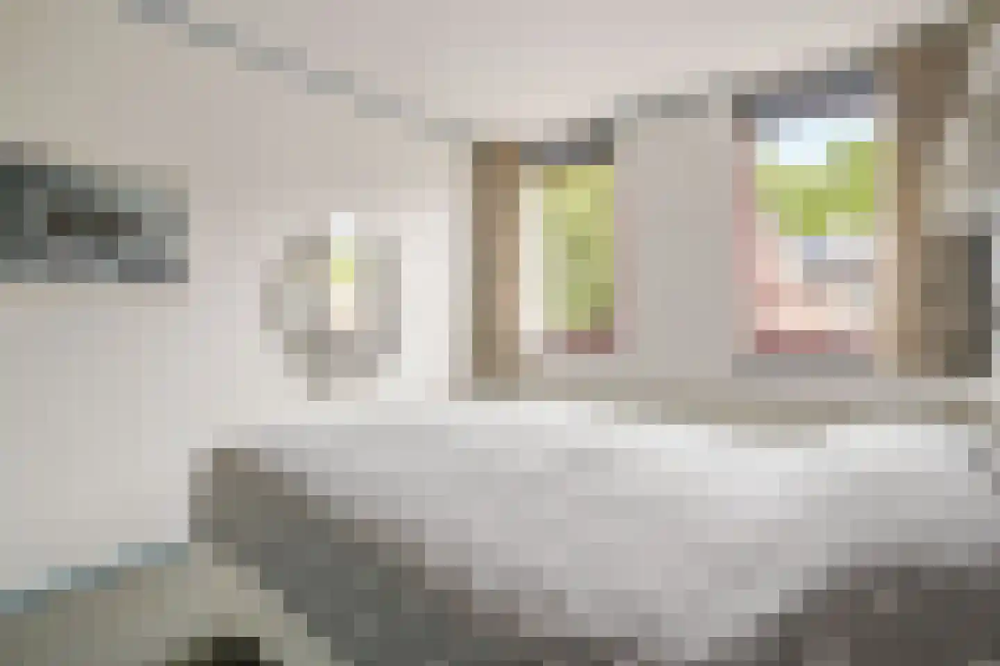 Korhoen 26 Ridderkerk thumbnail 21