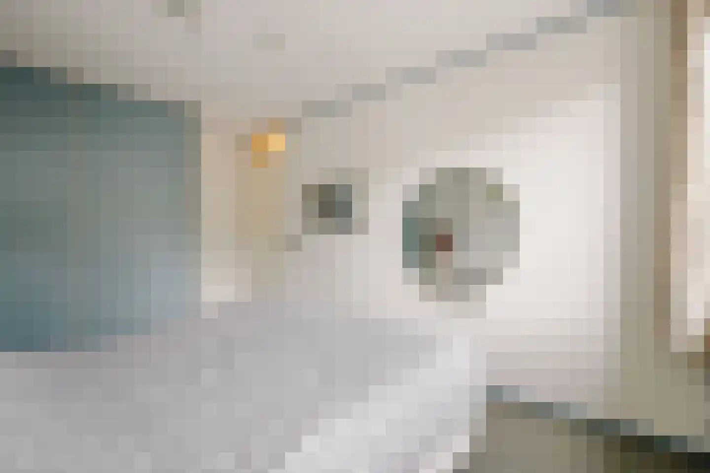 Korhoen 26 Ridderkerk thumbnail 22