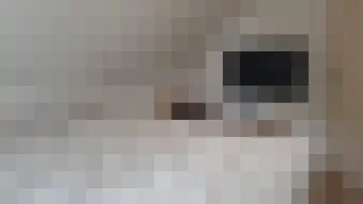 Korhoen 32 Sibculo thumbnail 18