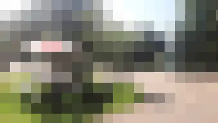 Korhoen 32 Sibculo thumbnail 23