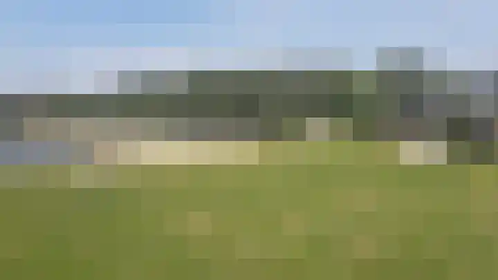 Korhoen 32 Sibculo thumbnail 33