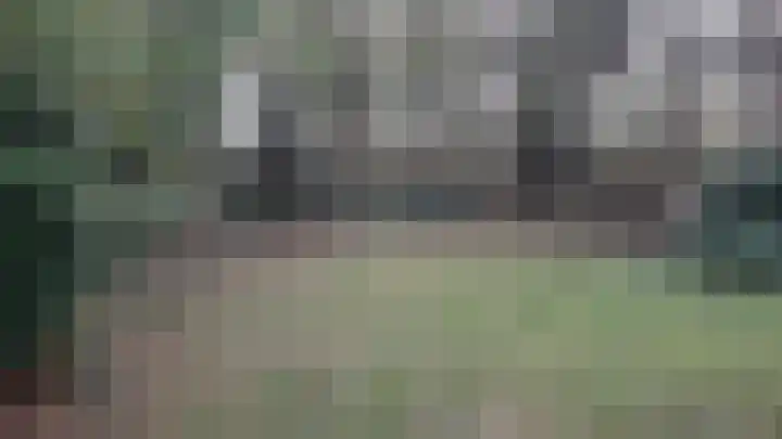 Korhoen 32 Sibculo thumbnail 5