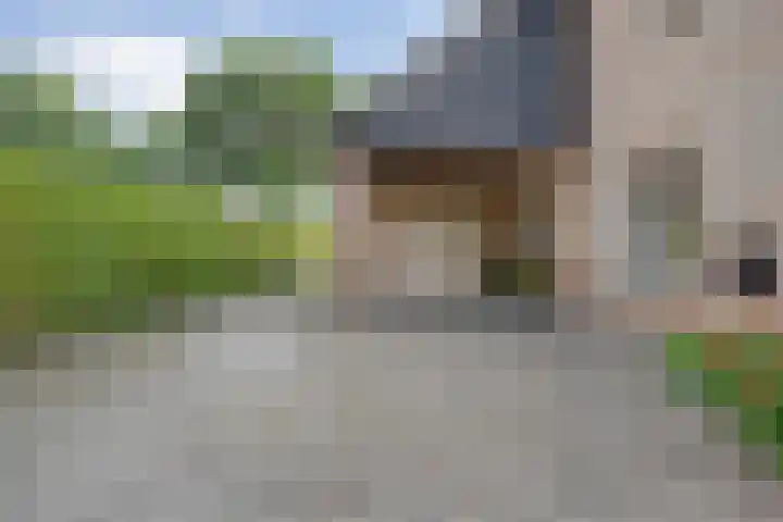 Korhoen 33 Raalte thumbnail 10