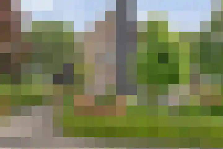 Korhoen 33 Raalte thumbnail 11