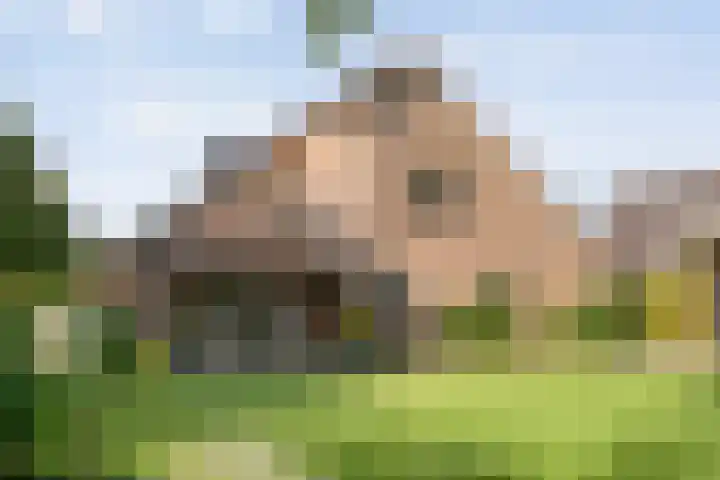 Korhoen 33 Raalte thumbnail 13