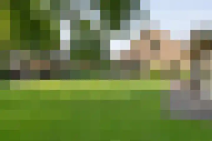 Korhoen 33 Raalte thumbnail 14