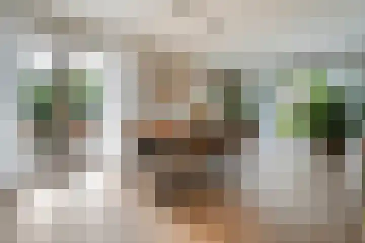 Korhoen 33 Raalte thumbnail 18