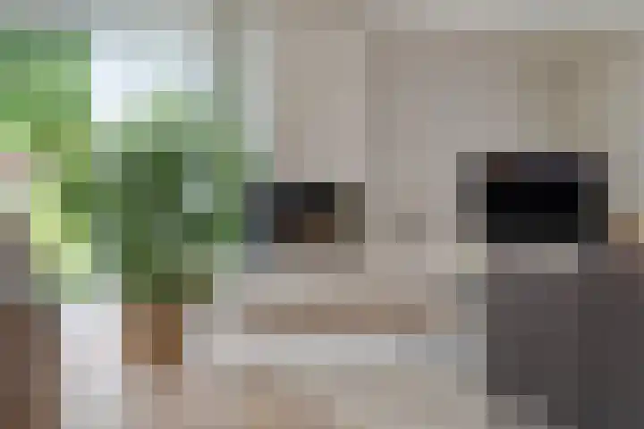 Korhoen 33 Raalte thumbnail 20