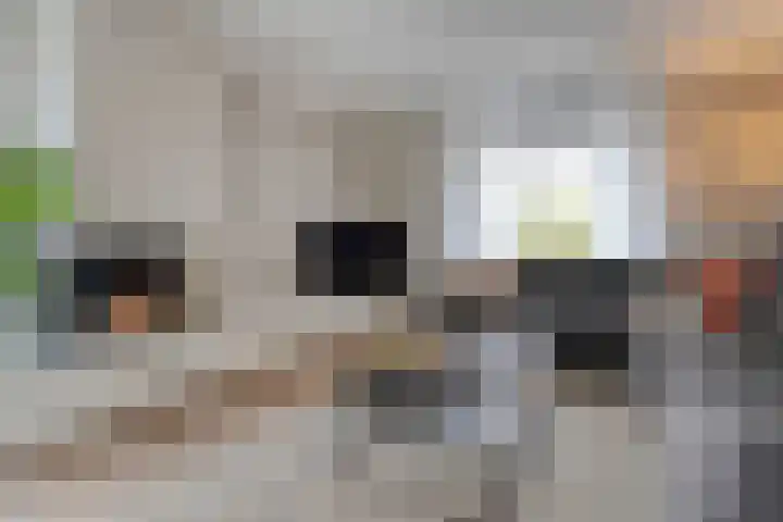 Korhoen 33 Raalte thumbnail 22
