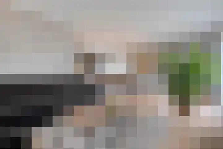Korhoen 33 Raalte thumbnail 23