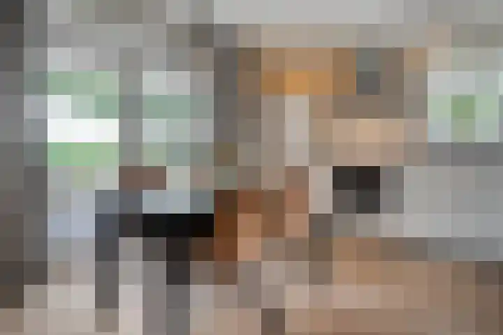 Korhoen 33 Raalte thumbnail 27