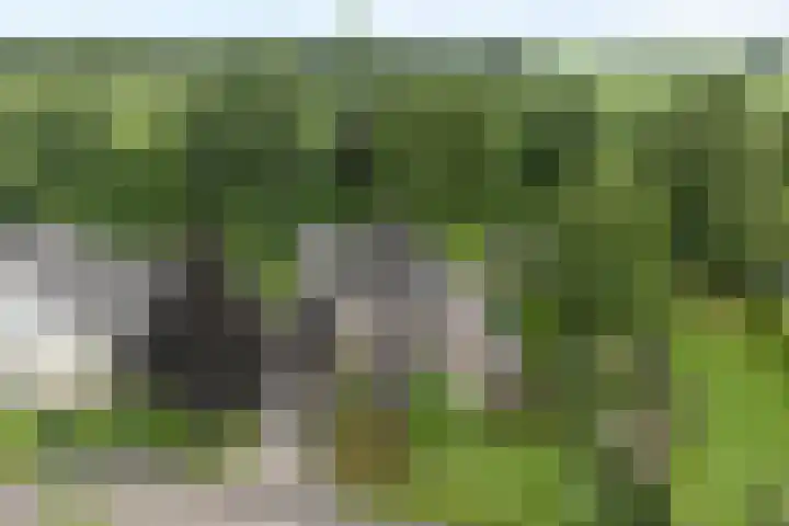 Korhoen 33 Raalte thumbnail 4