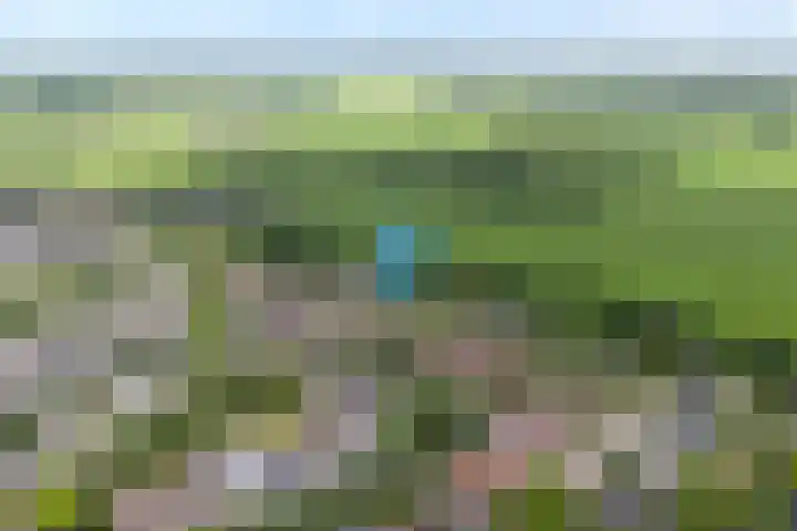 Korhoen 33 Raalte thumbnail 5